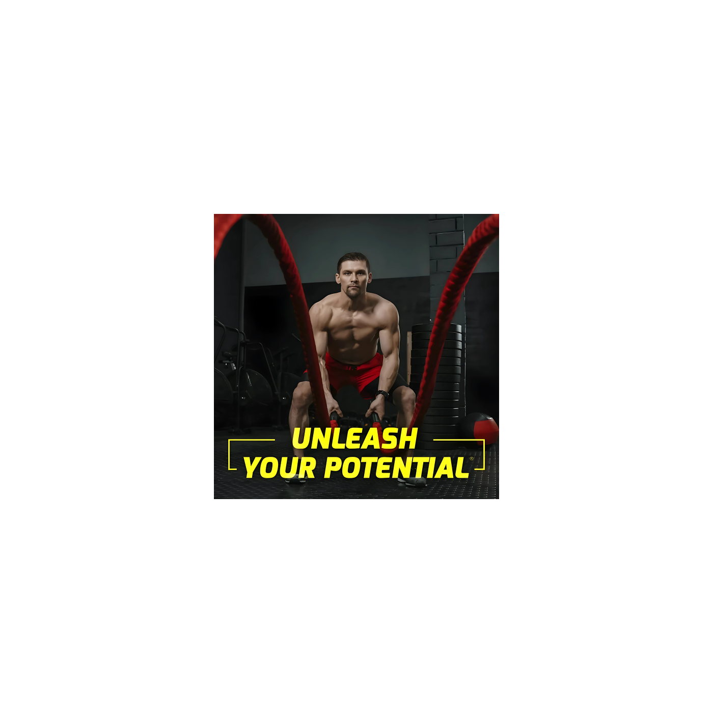 Force Factor Testosterone Test X180 Alpha V2 120 Caps