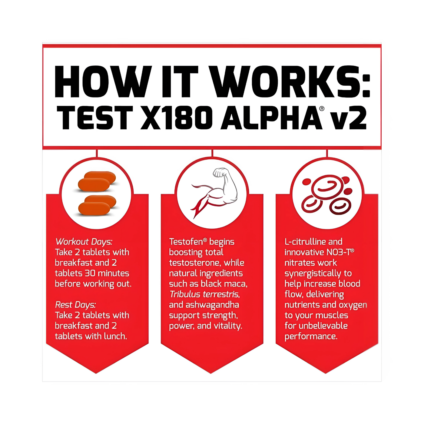 Force Factor Testosterone Test X180 Alpha V2 120 Caps