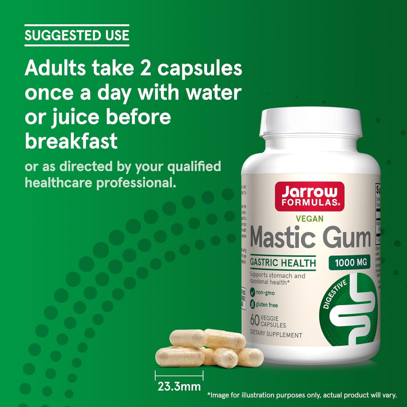 Jarrow Formulas Mastic Gum 1000 mg 60 Veggie Capsules