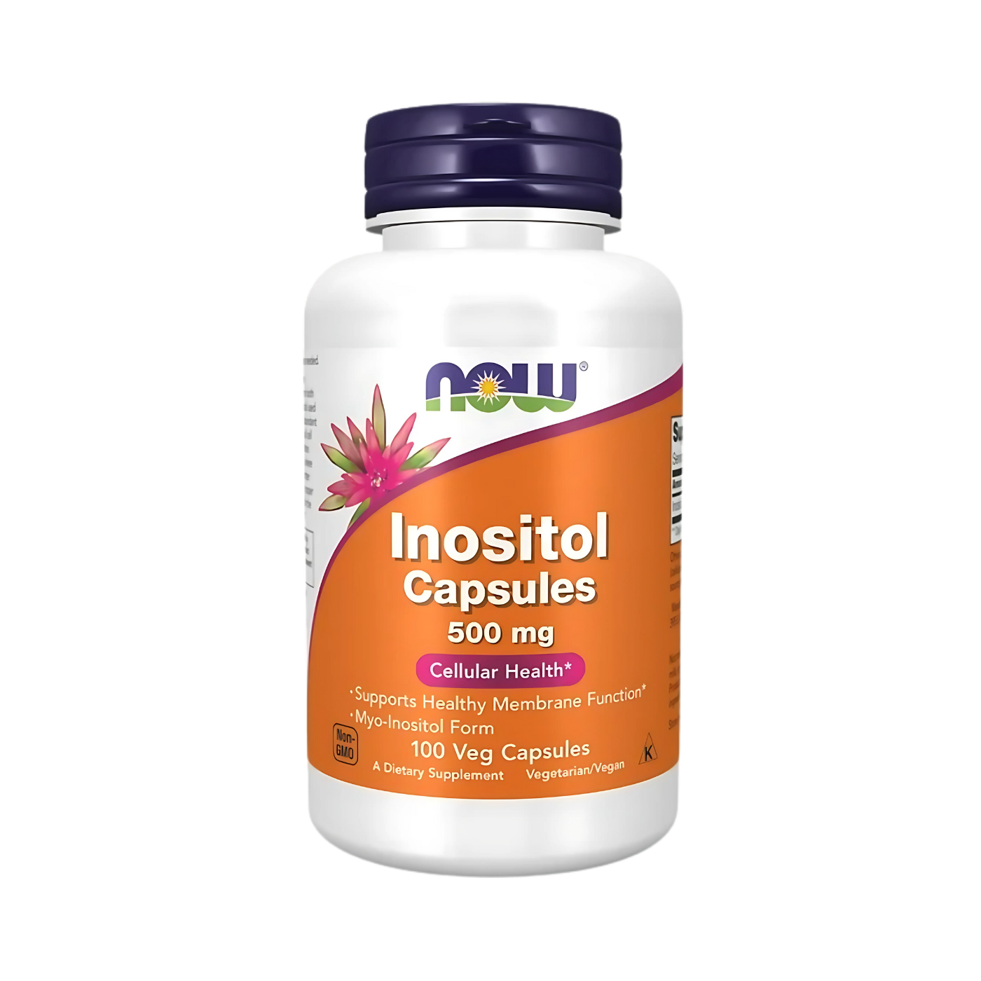 Now Inositol 500 mg Veg Capsules