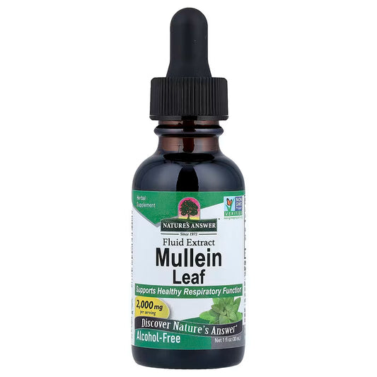 Nature's Answer Mullein Leaf Fluid Extract – Alcohol-Free, 1 fl oz (30 ml)