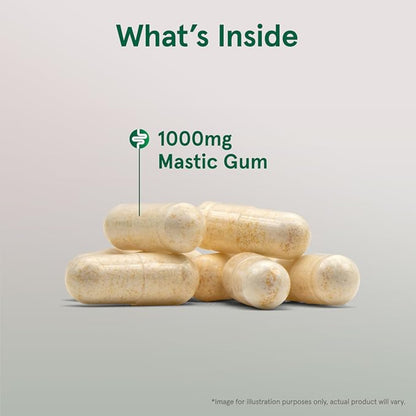 Jarrow Formulas Mastic Gum 1000 mg 60 Veggie Capsules