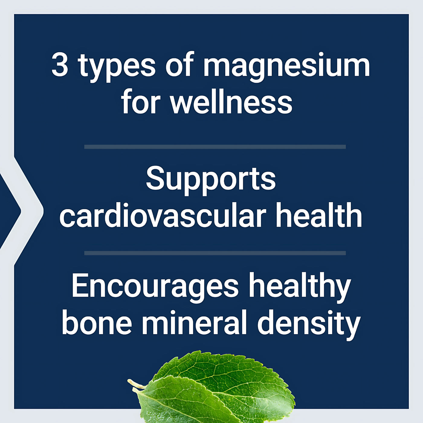 Life Extension Magnesium 500mg 100 Vegan Caps