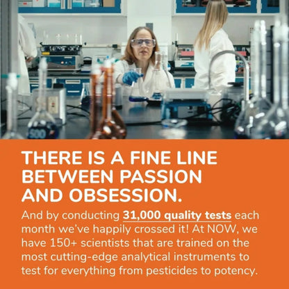 Now Niacinamide 500 mg Vitamin B3, No Flush 100 Veg Caps