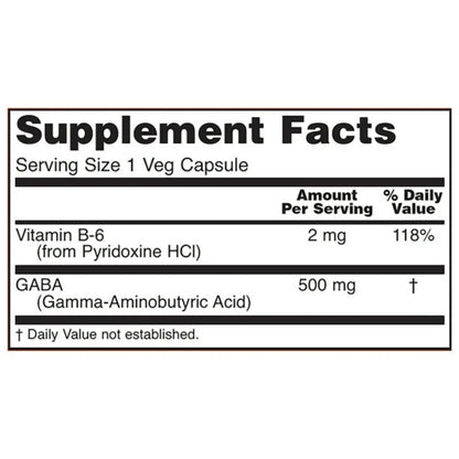 NOW GABA 500mg with B-6 100 Veg Capsules