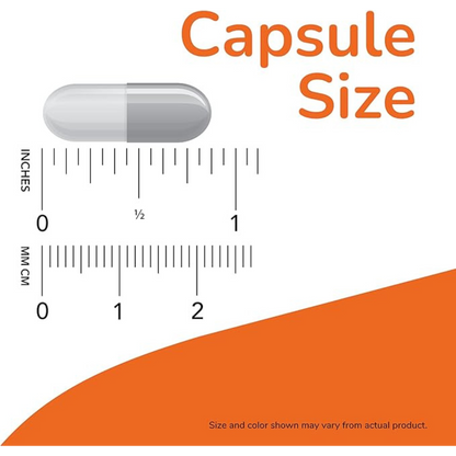 Now L-Carnitine 500mg 180 Veg Capsules Purest Form Amino Acid Fitness Support